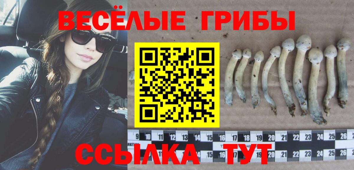 Галлюциногенные грибы Cubensis  где продают   Лысьва  Вход с VPN 